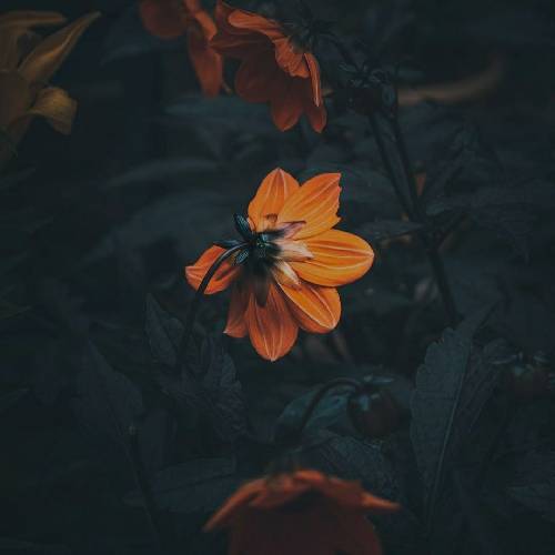  یه روزی یجایی من دل شکوندم یکی عاشقم شد به پاش نموندم چرا هرچی آسون ازش گذشتم